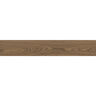GRES PORCELÁNICO ESMALTADO BRUNELLA CASTAÑO ZLL1 MATE 20X120 CM